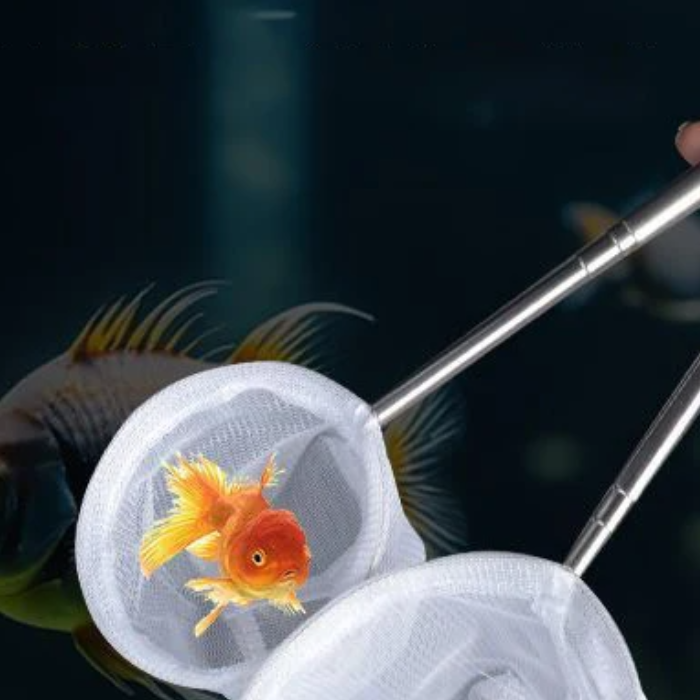 Aquarium Fish Net Small - Aquarium Fish Fishing Net Stainless Steel