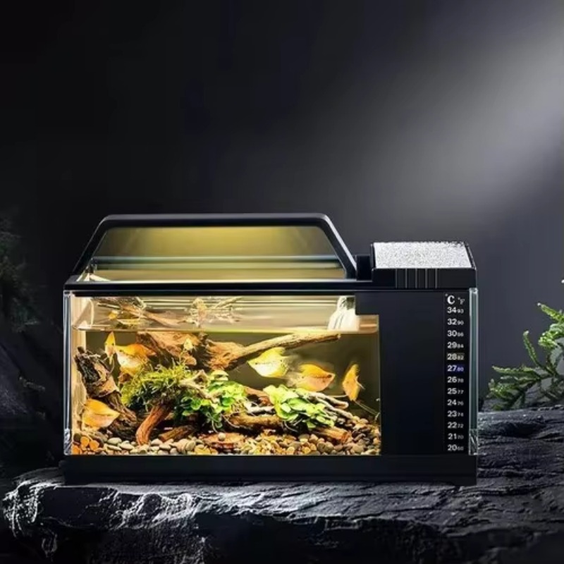 Aquarium Fish Low Maintenance - South American Style Aquarium - Small