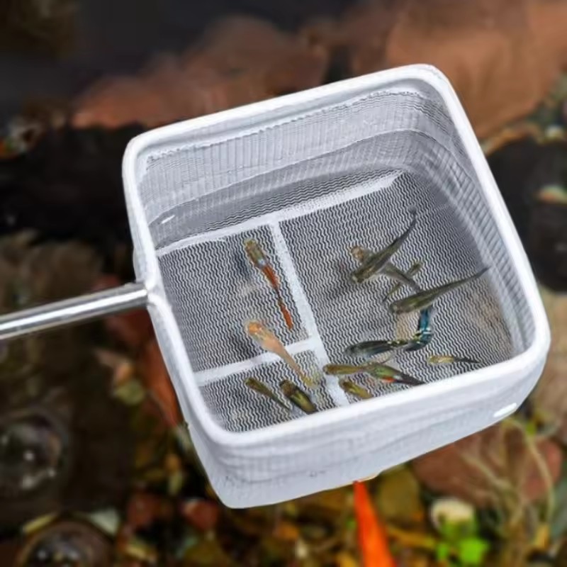 Aquarium Cleaning Tools Aquari - Aquarium Fish Net Small ulasan dan harga
