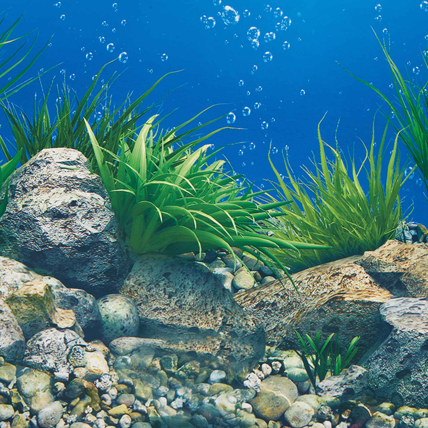 ABWR-Aquarium Background Paper - Aquarium Fish Wallpaper ulasan dan harga