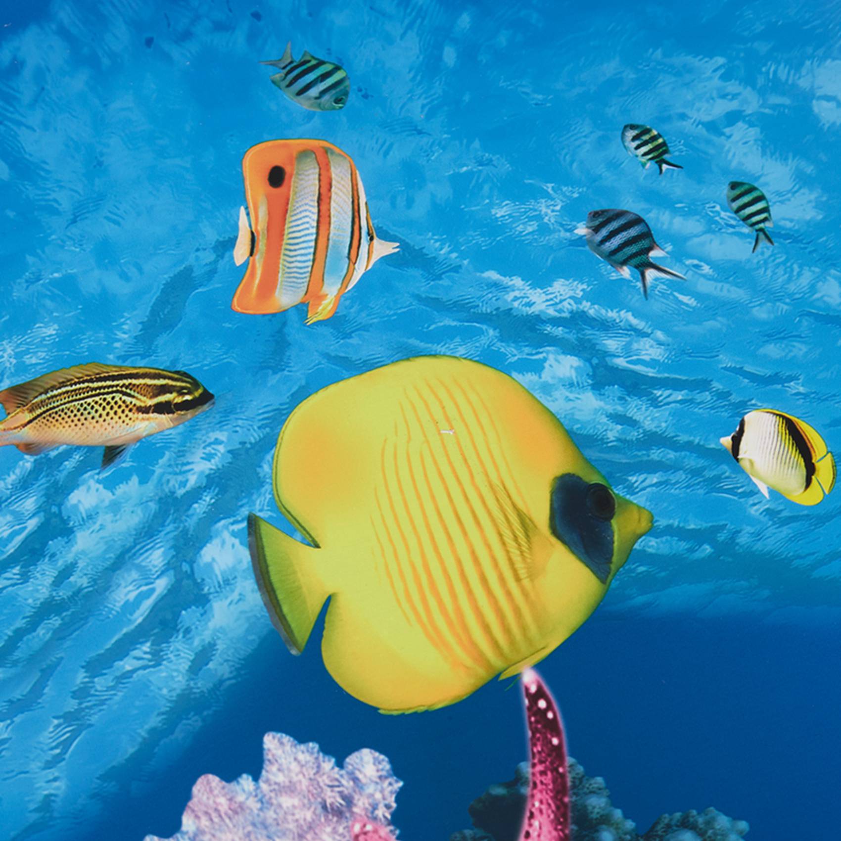 ABWR-Aquarium Background Paper - Aquarium Fish Wallpaper ulasan dan harga