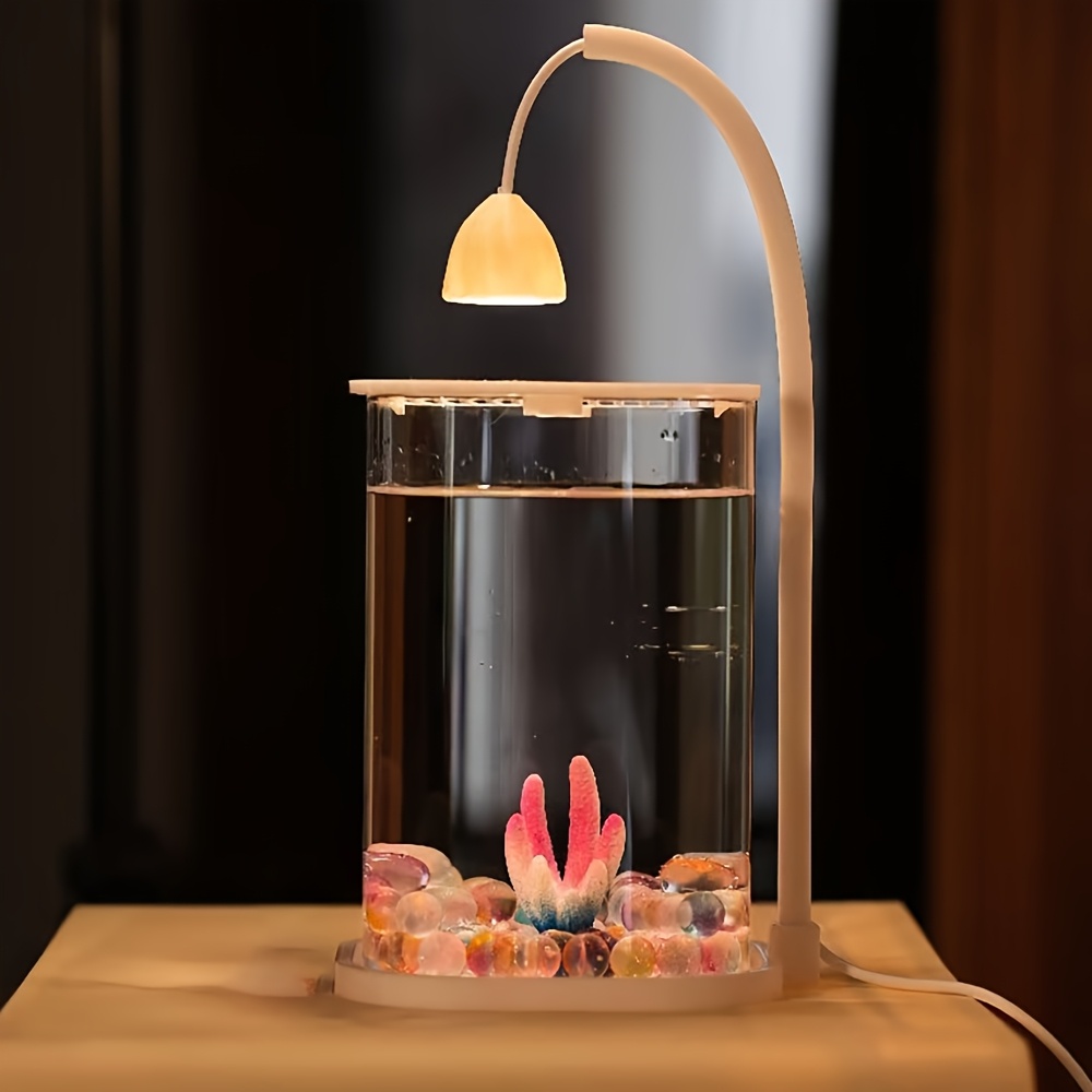 Frameless Lid LED Small Fish T - Aquarium Fish Low Maintenance ulasan dan harga