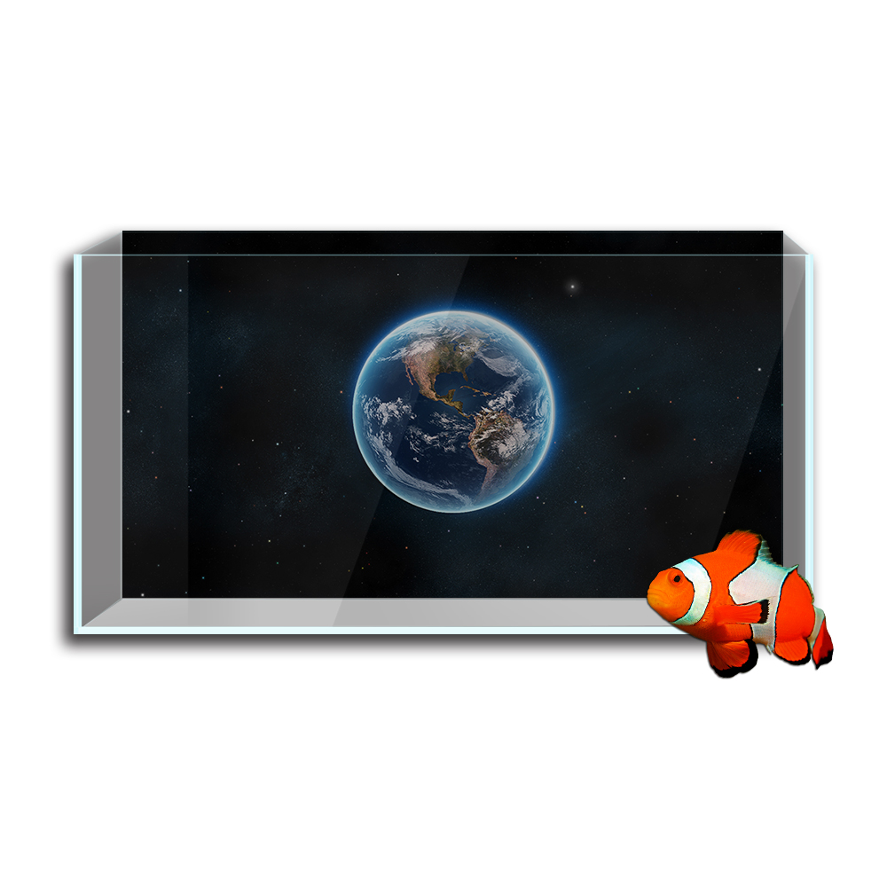 Aquarium Fish Tank  Background - Aquarium Fish Wallpaper ulasan dan harga