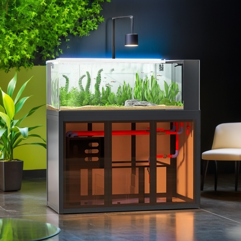 Industrial-style aquascape fis - Aquarium Fish Low Maintenance ulasan dan harga