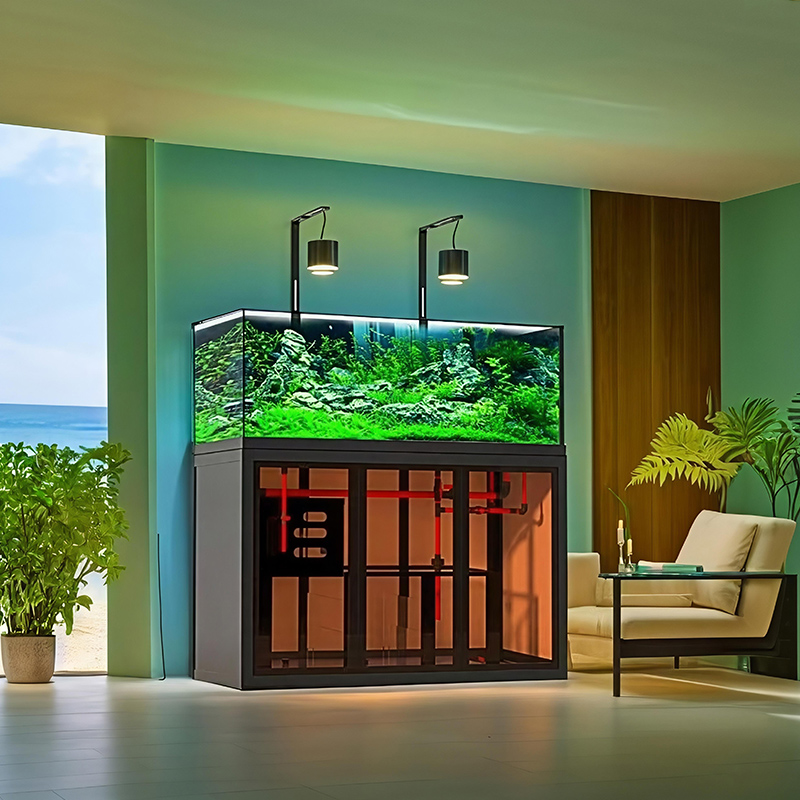 Industrial-style aquascape fis - Aquarium Fish Low Maintenance ulasan dan harga