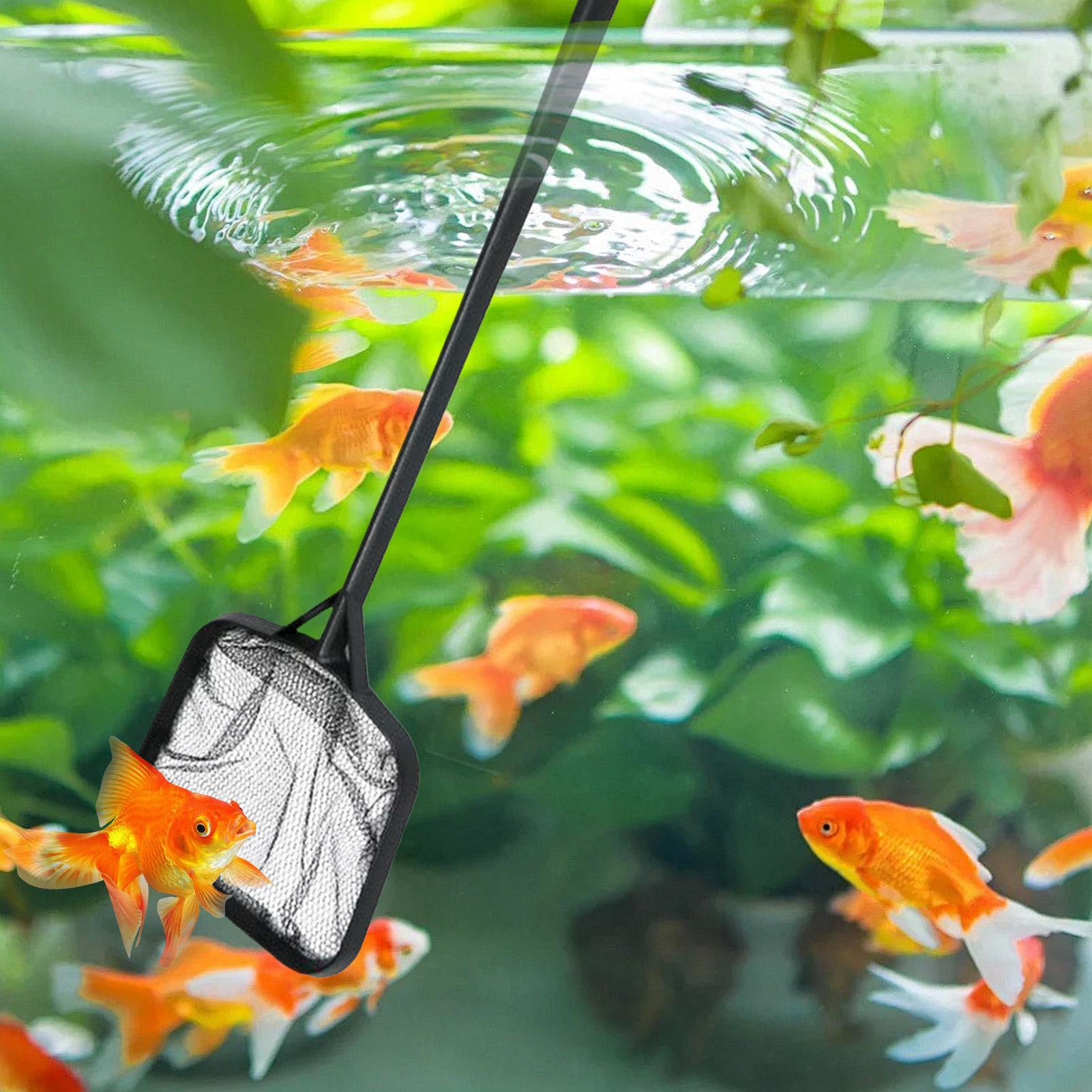 Pool Nets for Cleaning Portabl - Aquarium Fish Breeding ulasan dan harga