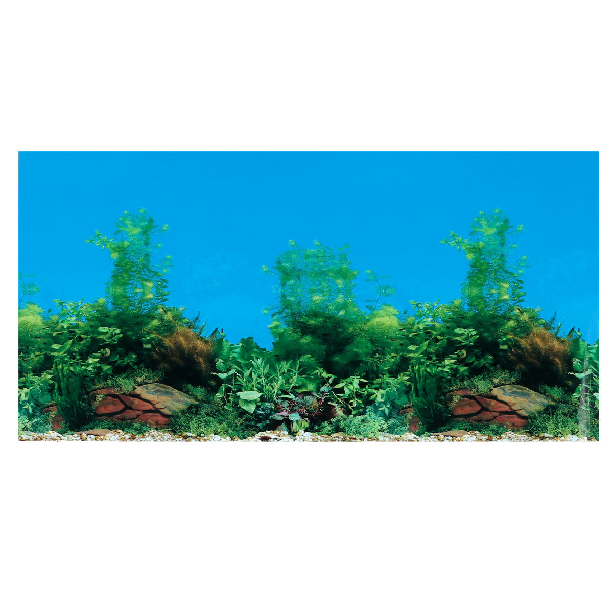 Aquarium Background Decal Doub - Aquarium Fish Wallpaper ulasan dan harga