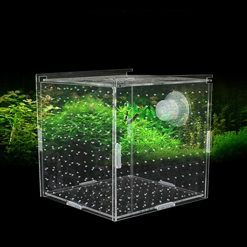Acrylic Isolation Box Fish Tan - Aquarium Fish Net Small ulasan dan harga