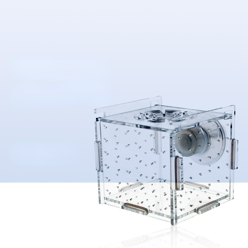 Acrylic Isolation Box Fish Tan - Aquarium Fish Net Small ulasan dan harga