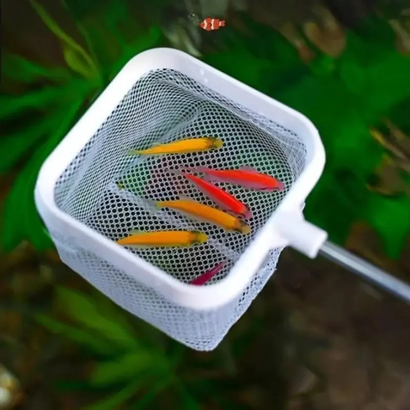 3D Aquarium Small Fish Scoop T - Aquarium Fish Net Small ulasan dan harga