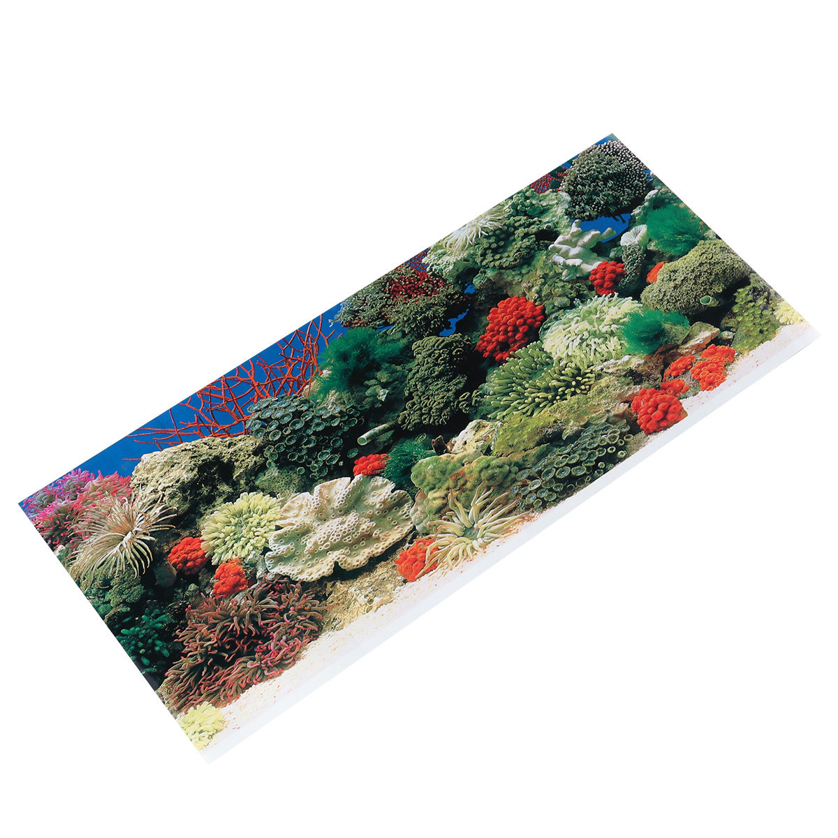 42 Cm Adhesive Wallpaper Aquar - Aquarium Fish Wallpaper ulasan dan harga