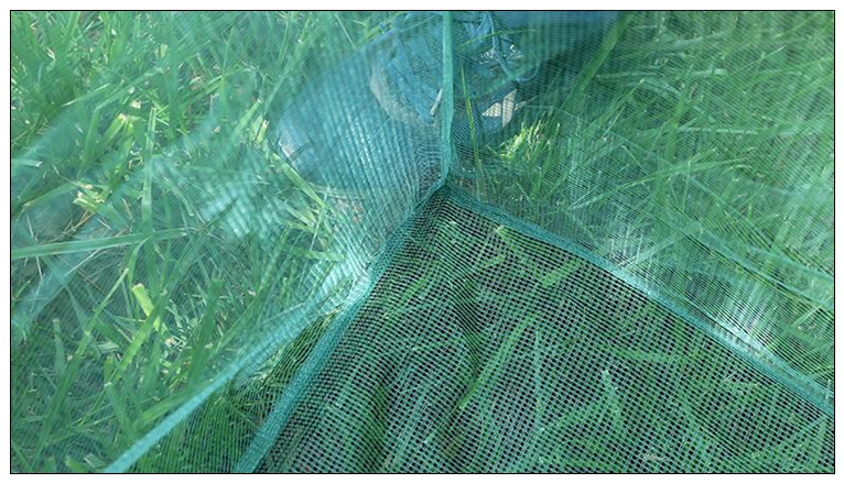 Fishing 3mm Stake Small Mesh C - Aquarium Fish Net Small ulasan dan harga