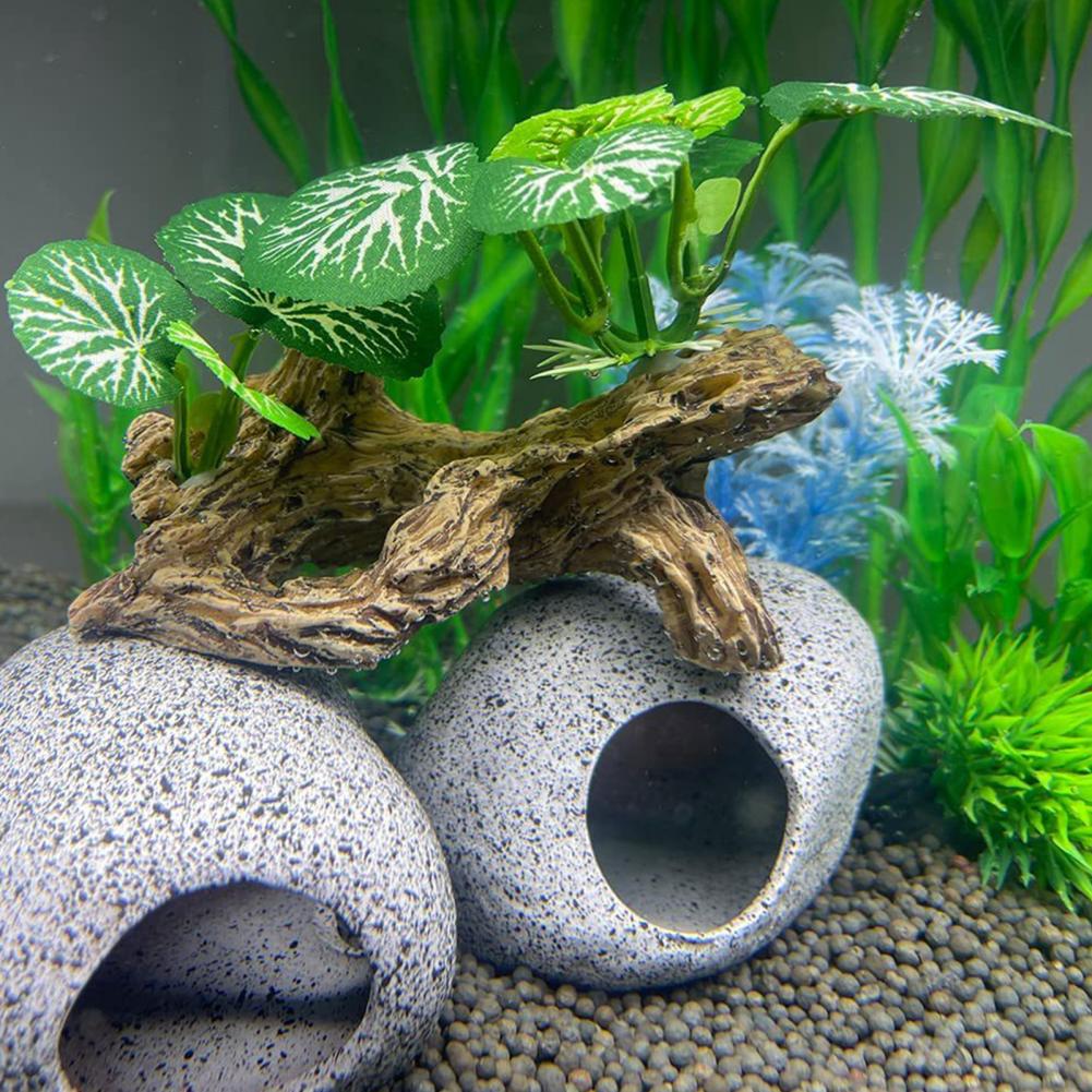 Low-maintenance Fish Tank Orna - Aquarium Fish Low Maintenance ulasan dan harga