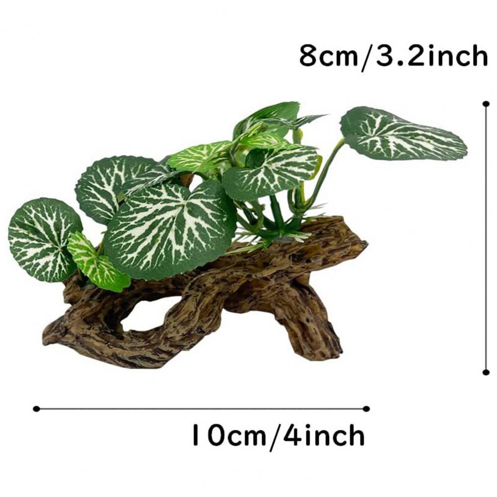 Low-maintenance Fish Tank Orna - Aquarium Fish Low Maintenance ulasan dan harga