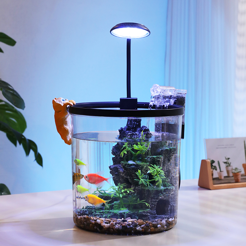Compact Round Goldfish Bowl -  - Aquarium Fish Low Maintenance ulasan dan harga