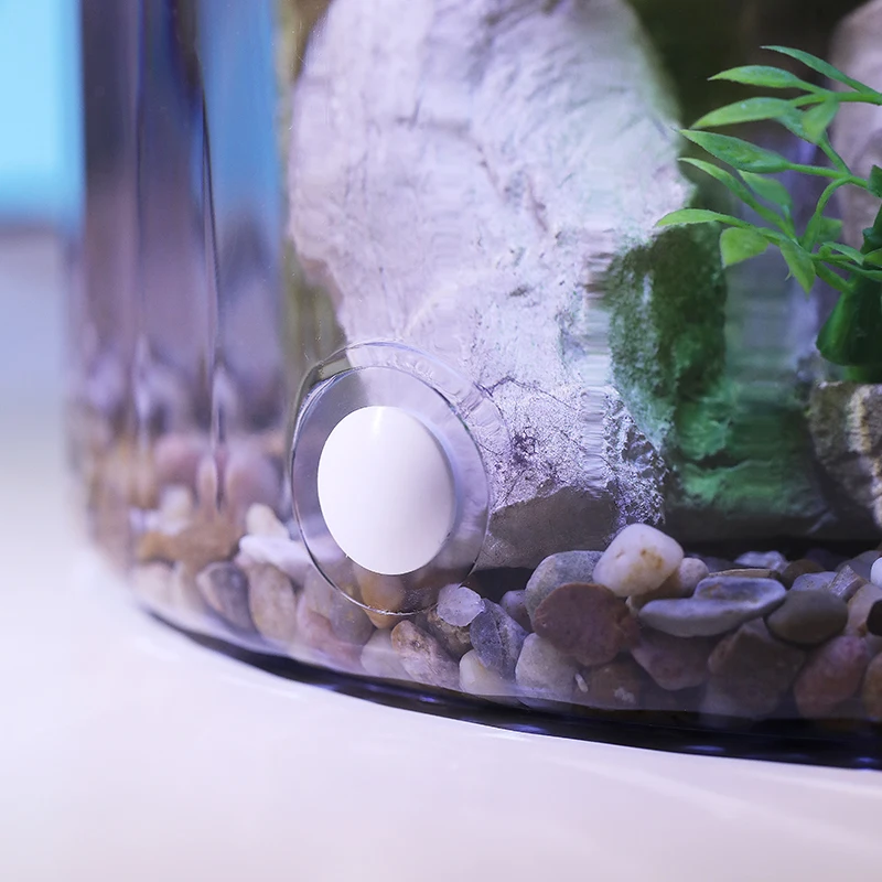 Compact Round Goldfish Bowl -  - Aquarium Fish Low Maintenance ulasan dan harga