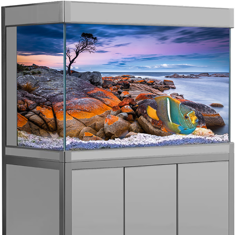 Aquarium Background Sticker St - Aquarium Fish Wallpaper ulasan dan harga