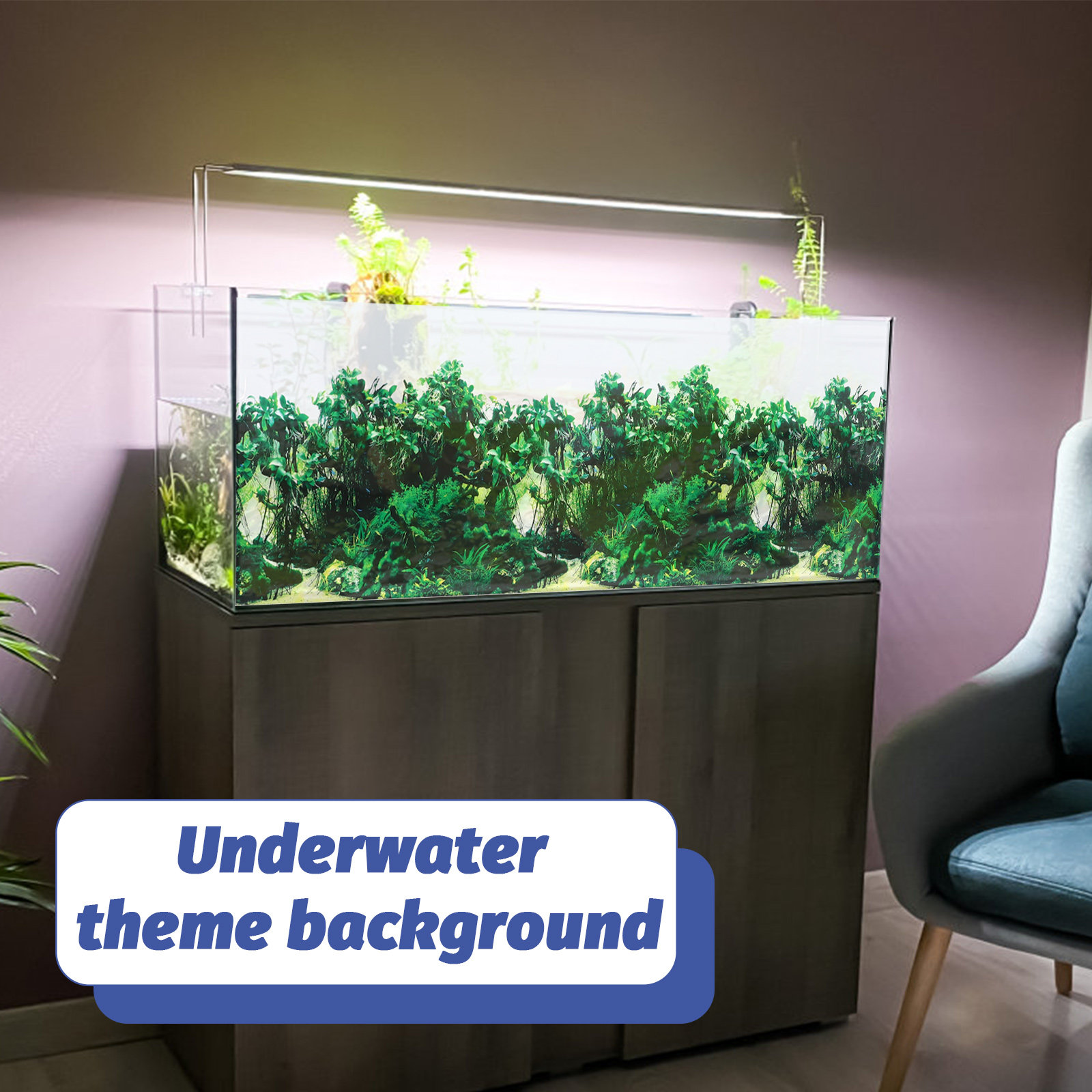 Fish Tank Background Paper Thi - Aquarium Fish Wallpaper ulasan dan harga