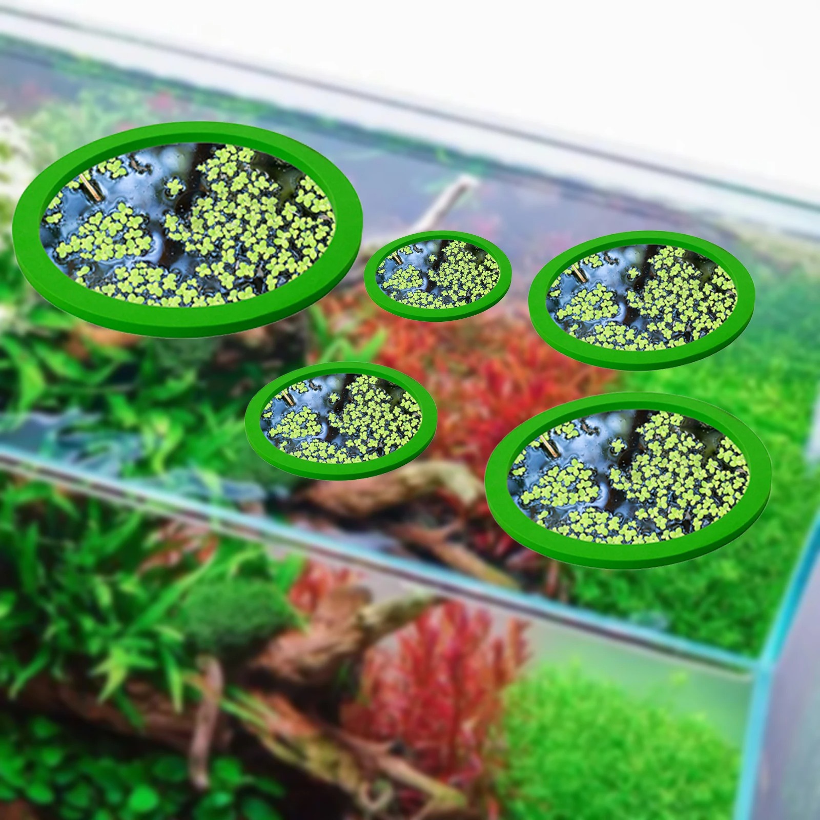 5Pcs EVA Fish Feeding Ring Aqu - Aquarium Fish Breeding ulasan dan harga
