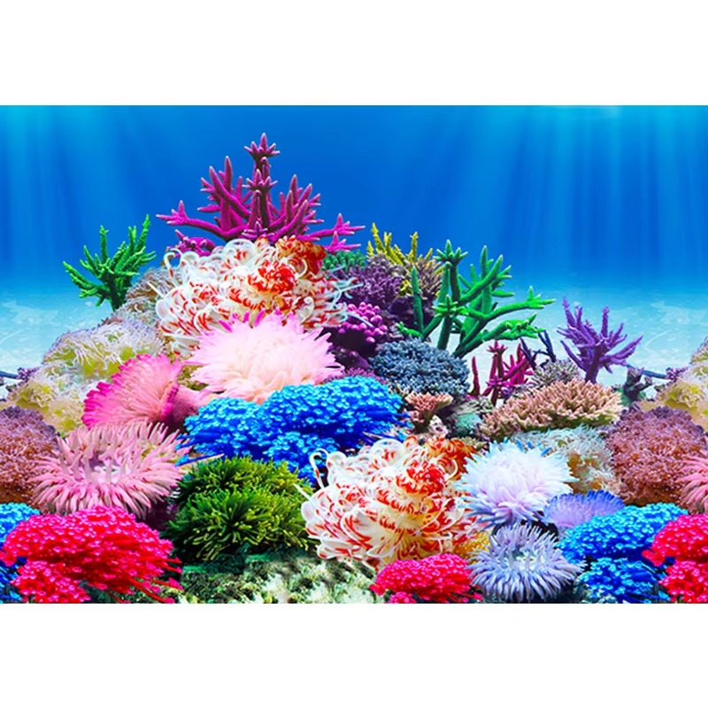 50cm Aquarium Decoration Water - Aquarium Fish Wallpaper ulasan dan harga