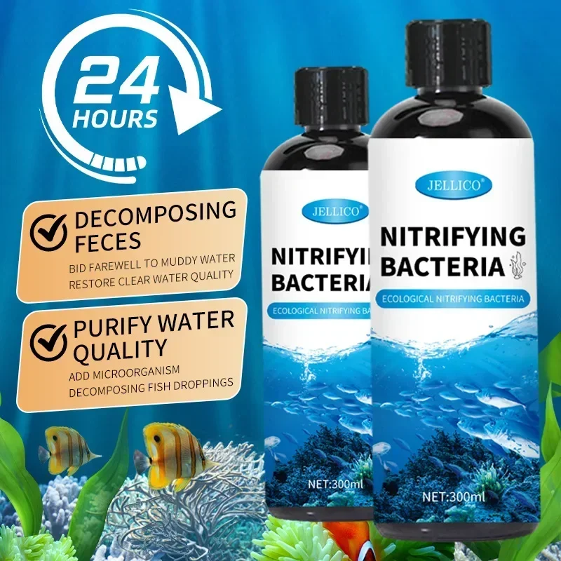 Nitrifying Bacteria Liquid Fis - Aquarium Fish Breeding ulasan dan harga