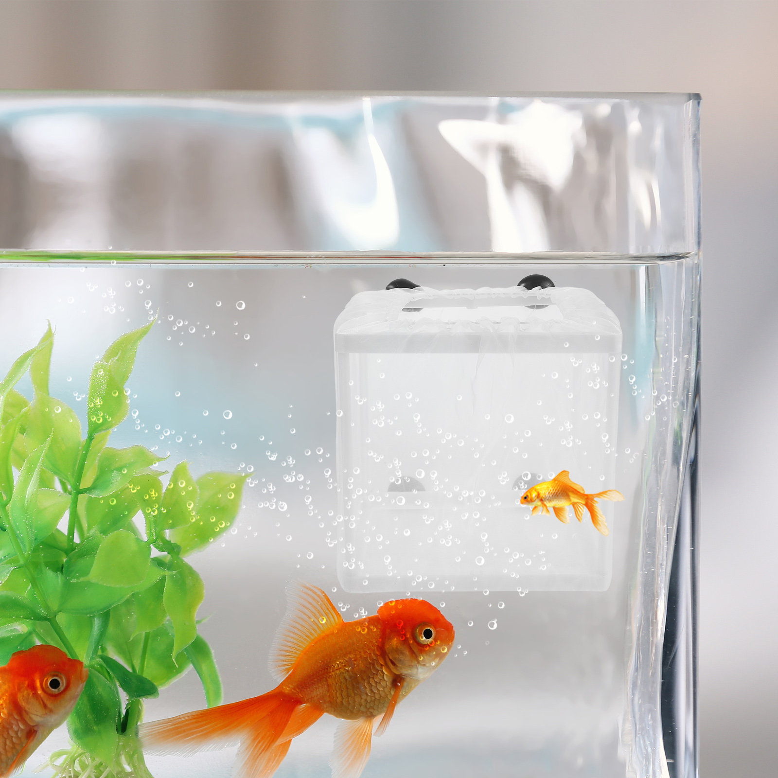 2Pcs Fish Breeding Isolation B - Aquarium Fish Net Small ulasan dan harga