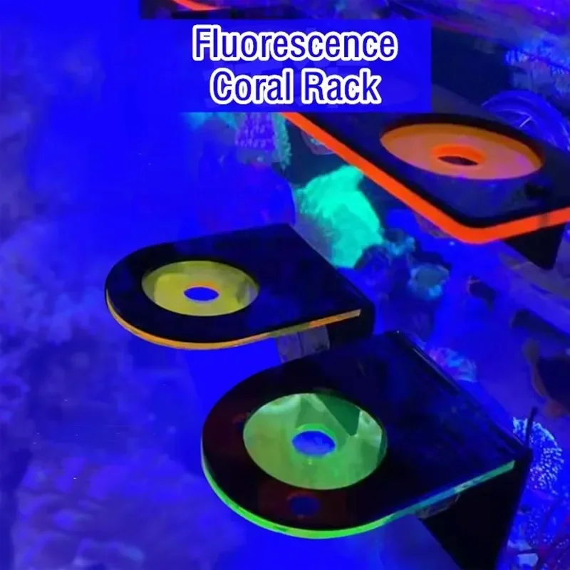 Fish Tank Acrylic Fluorescent  - Aquarium Fish Marine ulasan dan harga