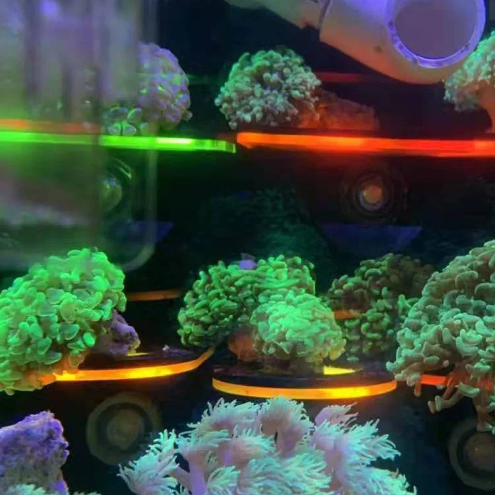 Fish Tank Acrylic Fluorescent  - Aquarium Fish Marine ulasan dan harga