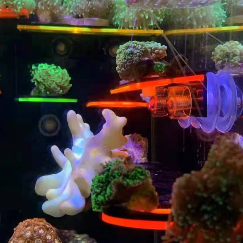 Fish Tank Acrylic Fluorescent  - Aquarium Fish Marine ulasan dan harga