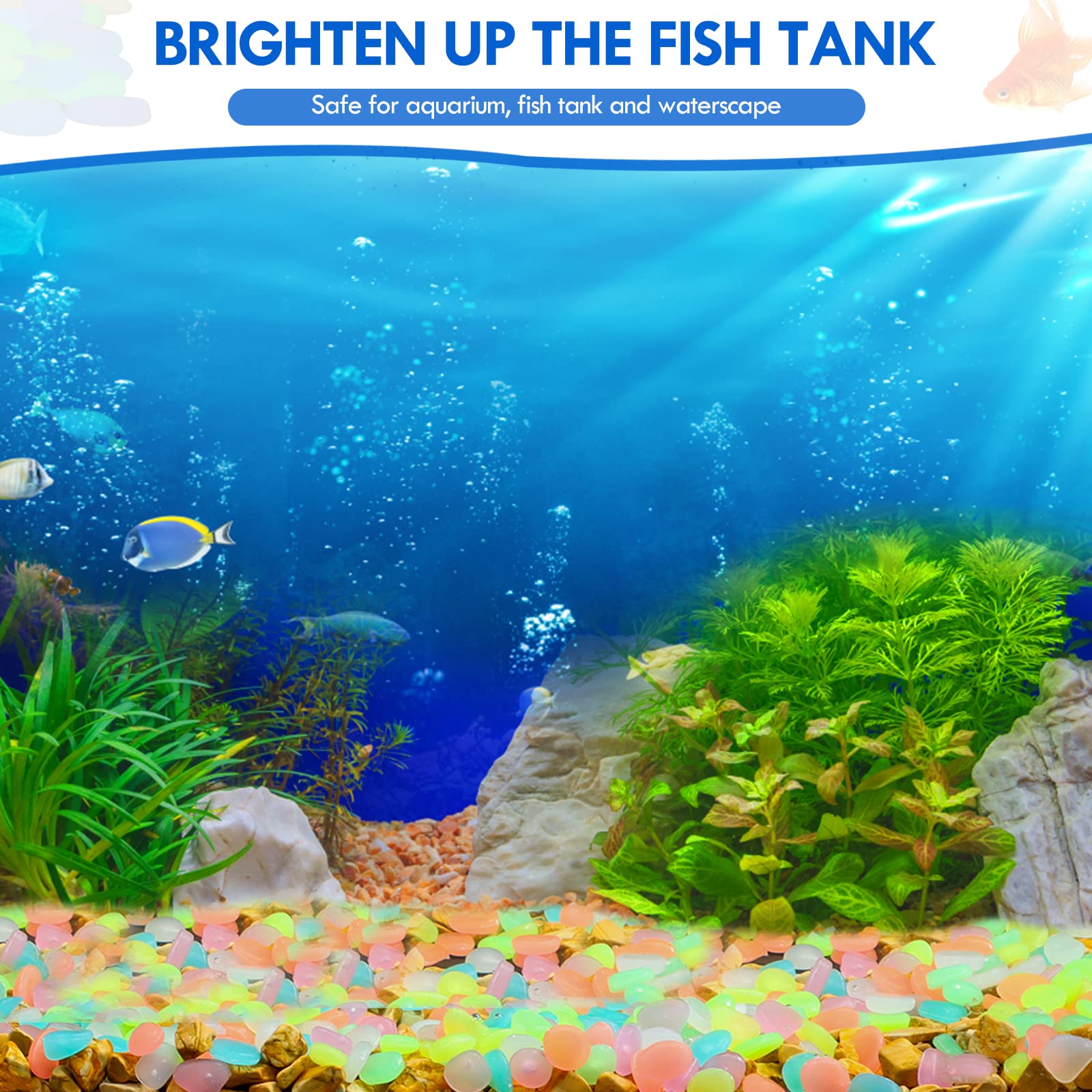 100Pcs Glow in the Dark Garden - Aquarium Fish Breeding ulasan dan harga