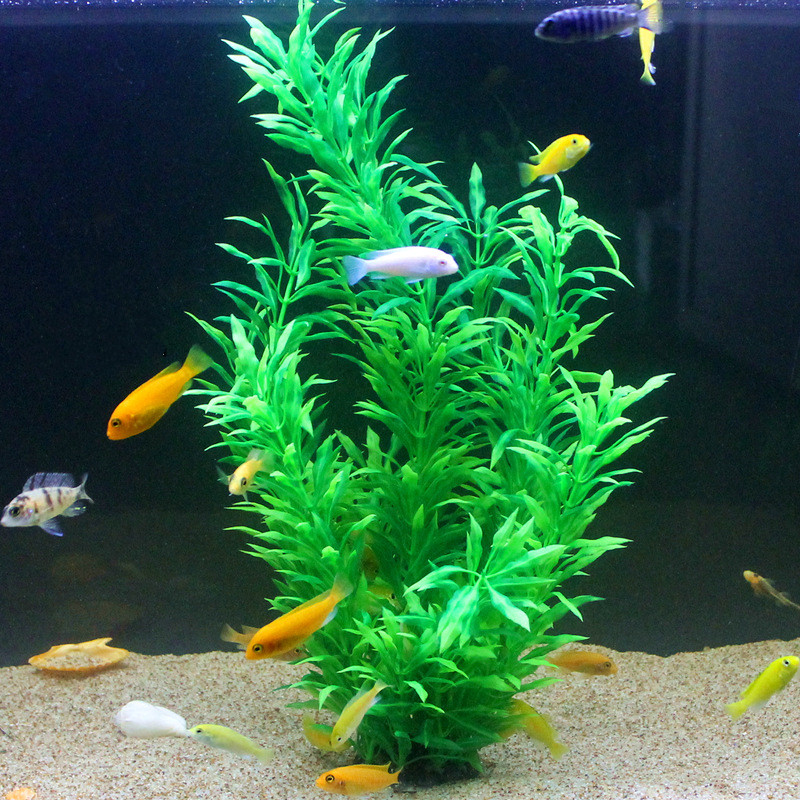 50CM Artificial Fish Tank Rare - Aquarium Fish Breeding ulasan dan harga