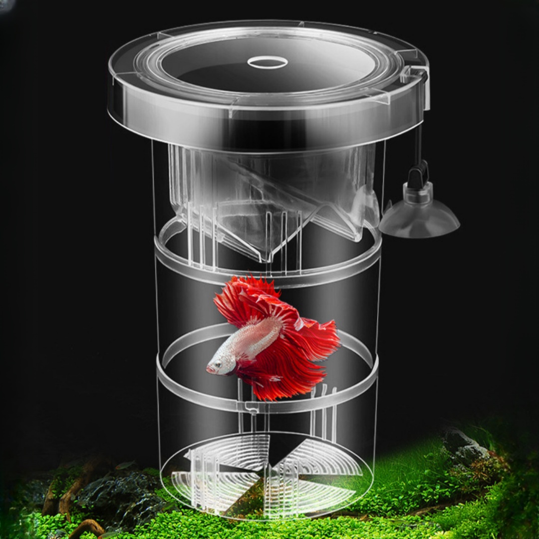 Acrylic Floating Fish Breeding - Aquarium Fish Marine ulasan dan harga