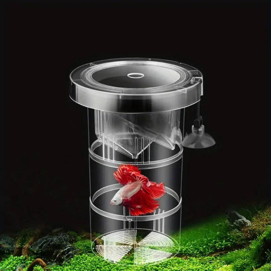 Acrylic Floating Fish Breeding - Aquarium Fish Marine ulasan dan harga