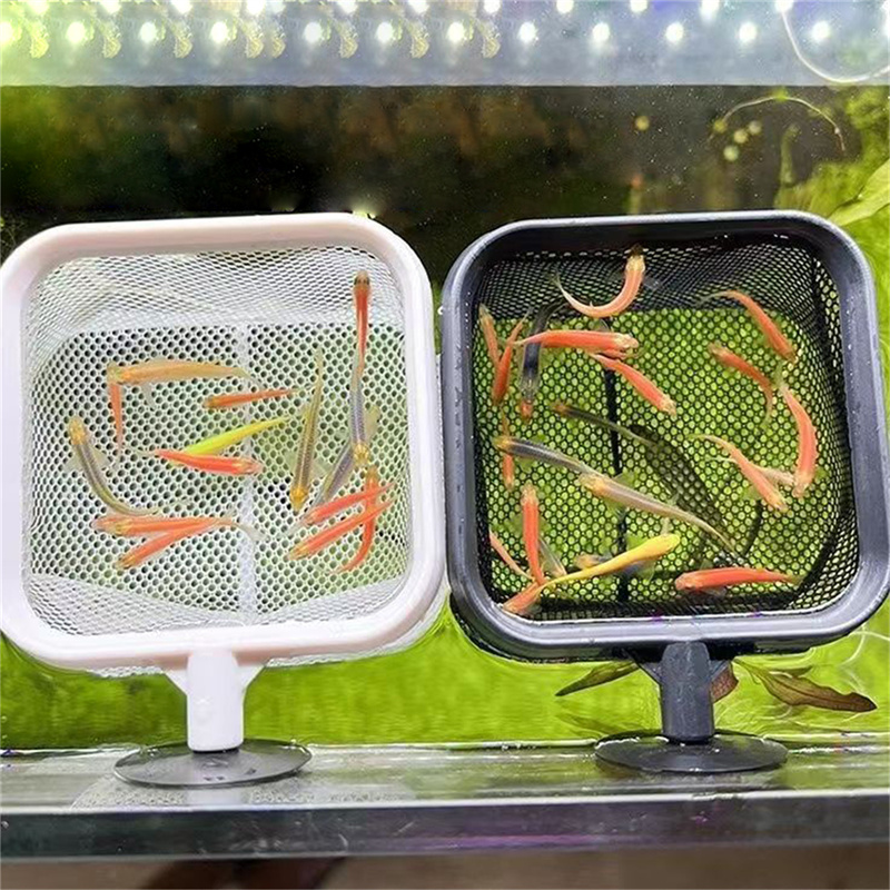 AquariumFish Fishing Net Stain - Aquarium Fish Net Small ulasan dan harga