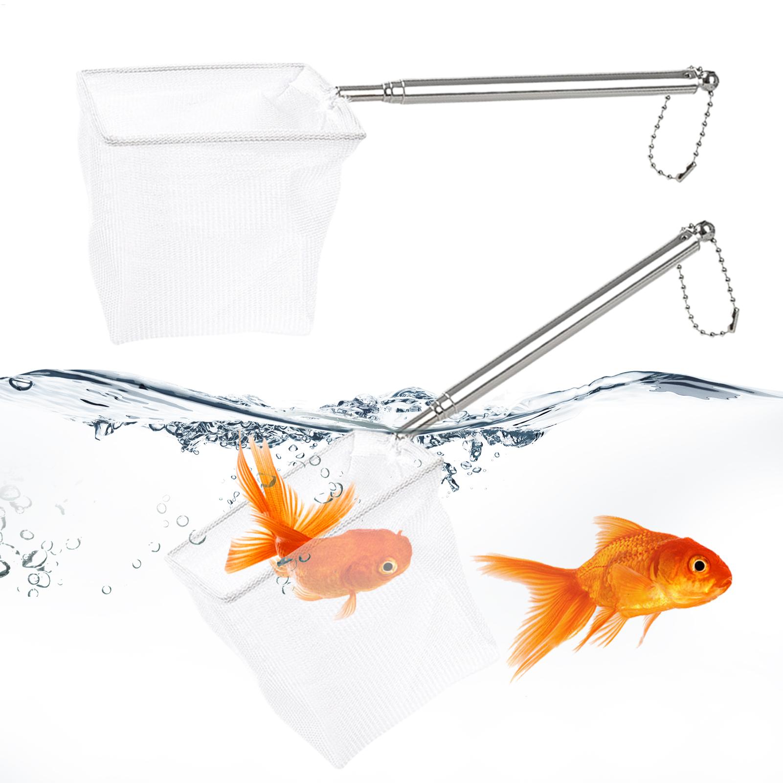 2pcs Small Fish Net Telescopic - Aquarium Fish Net Small ulasan dan harga