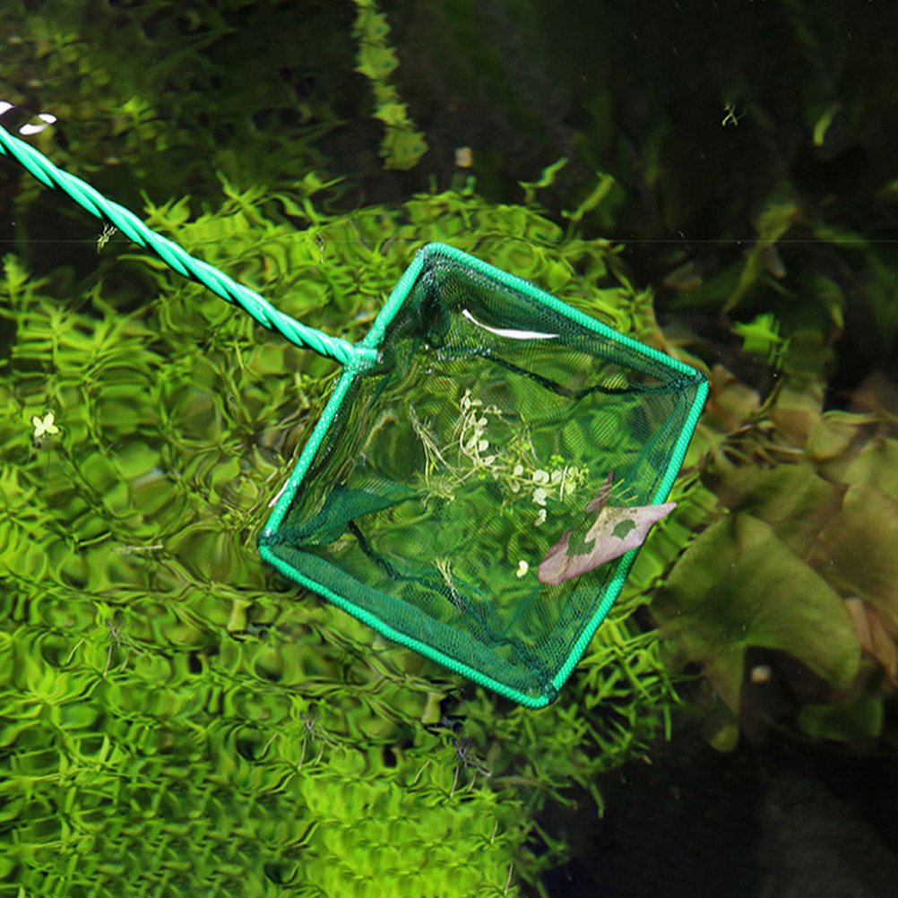 2Pcs Portable Fish Net Aquariu - Aquarium Fish Net Small ulasan dan harga