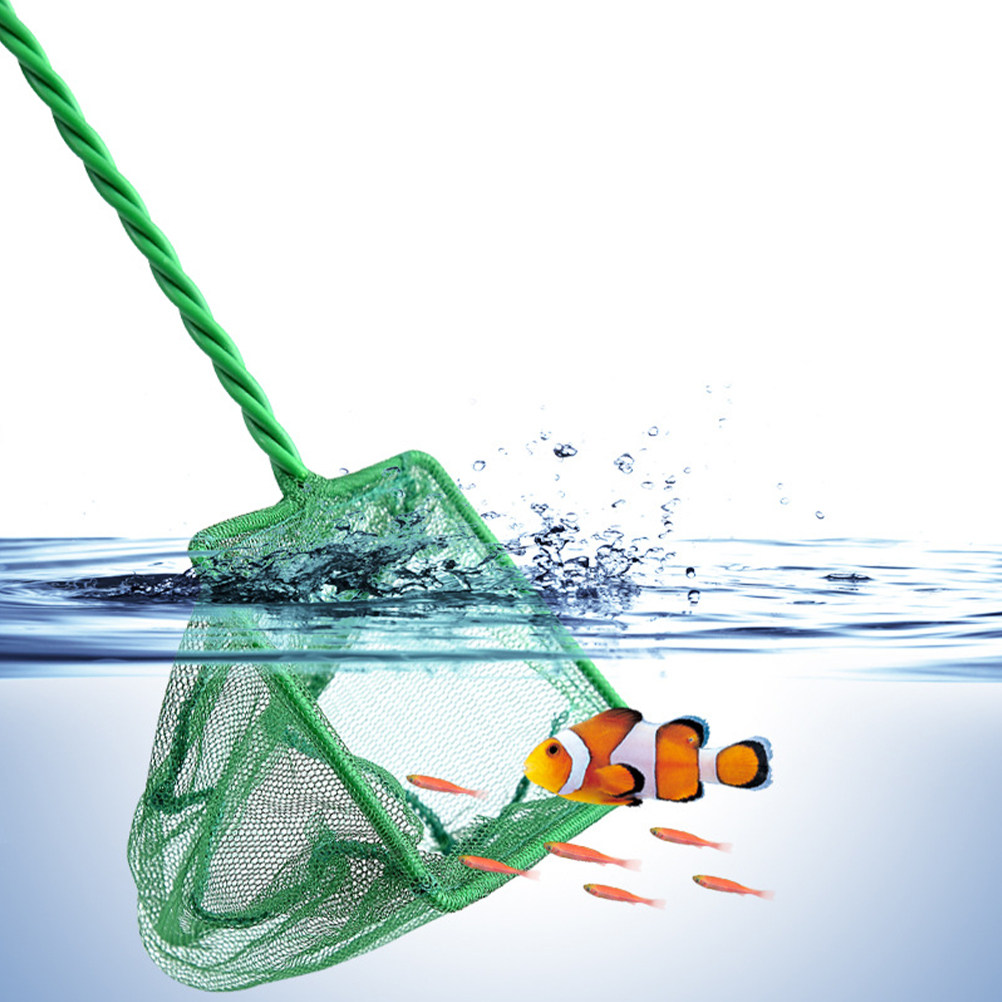 2Pcs Portable Fish Net Aquariu - Aquarium Fish Net Small ulasan dan harga