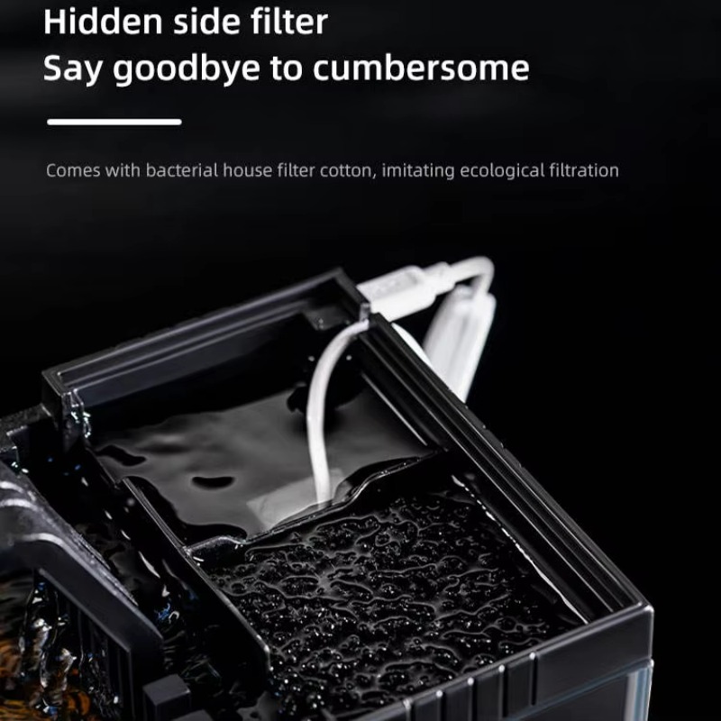 South American Style Aquarium  - Aquarium Fish Low Maintenance ulasan dan harga