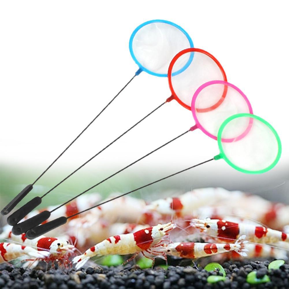1/5/10pc Colorful Aquarium Fis - Aquarium Fish Net Small ulasan dan harga