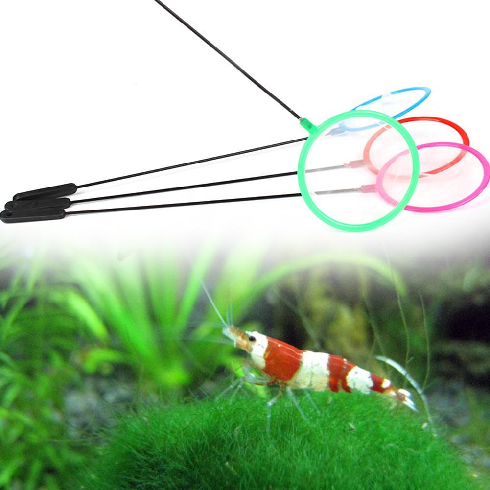 1/5/10pc Colorful Aquarium Fis - Aquarium Fish Net Small ulasan dan harga